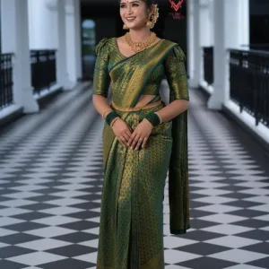 Banarasi Soft Silk Saree